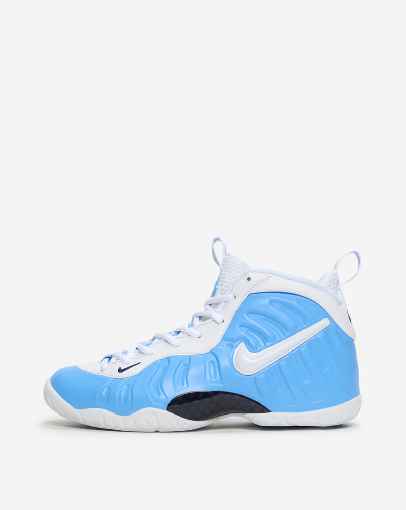 Nike Big Kids' Little Posite Pro IQ7230-400 Blue 1