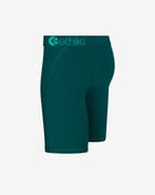 Emerald Velvet Solid Briefs