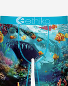 Ethika Shadow Tip Briefs  MSUAAF2607 Multi 2