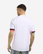 Paris Saint-Germain Stadium Away Soccer Replica Jersey