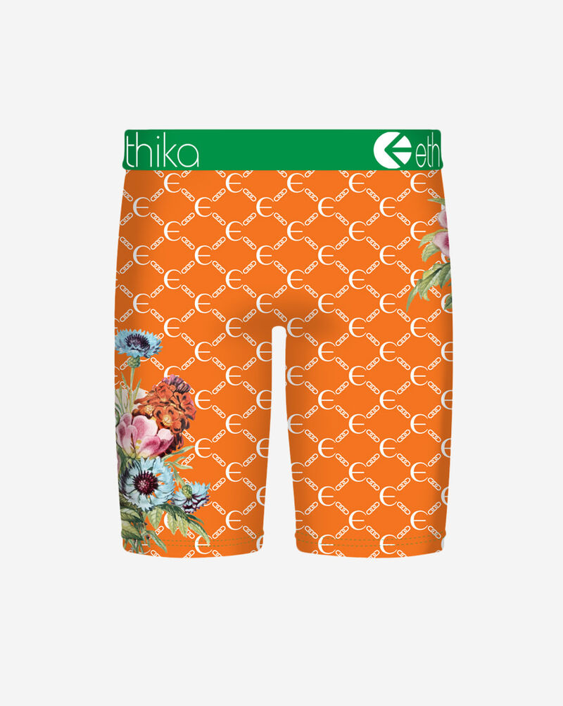 Ethika Botaness Briefs  MLUS3615 Multi 3