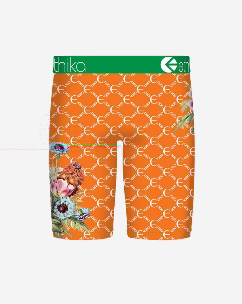 Ethika Botaness Briefs  MLUS3615 Multi 3