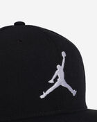 Jordan Pro Cap FV5296-010 Black 2