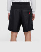 Jordan Legacy Air Jordan 5 Shorts CU1674-010 Black 3