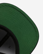 Boston Celtics NBA Storm Front Snapback Hat