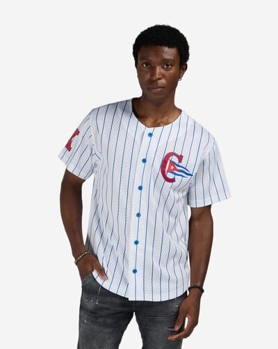 Cuban Stars Yordan &Aacute;lvarez Authentic Batting Practice Pinstripes Jersey