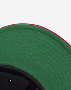 Mexico Snapback