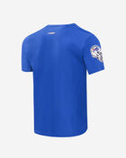 PRO STANDARD Buffalo Bills Mash Up Tee FBB1410419-RYB Blue 3