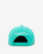 Vancouver Grizzlies The Grid Snapback Hat