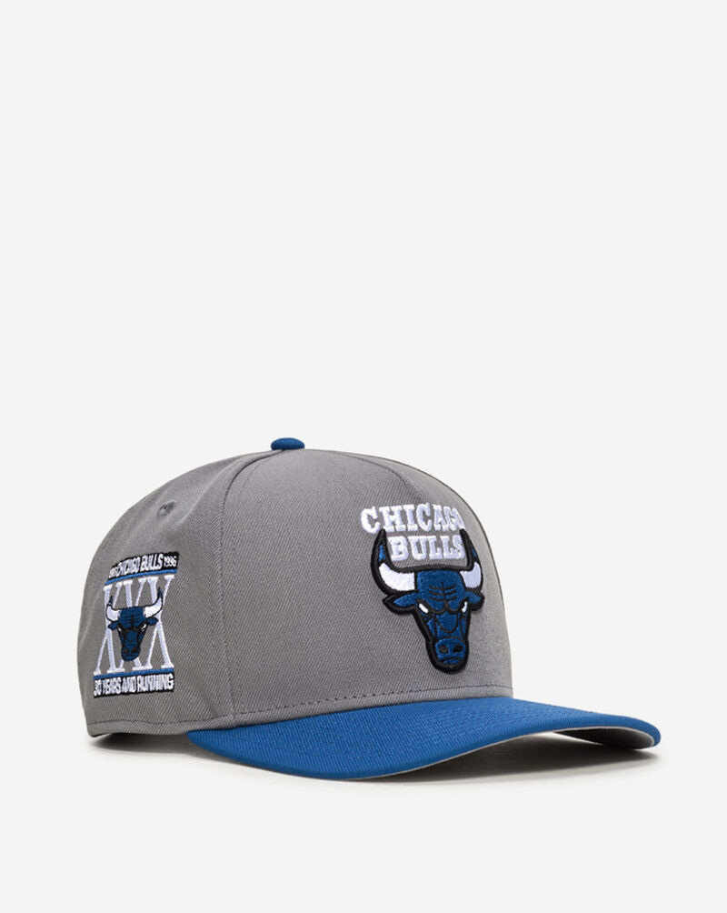 New Era 9Fifty Chicago Bulls A-Frame Snapback Hat 71050224 Grey 1