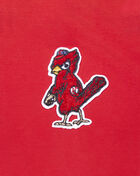 St. Louis Cardinals Short Sleeve Classic Boxy Tee