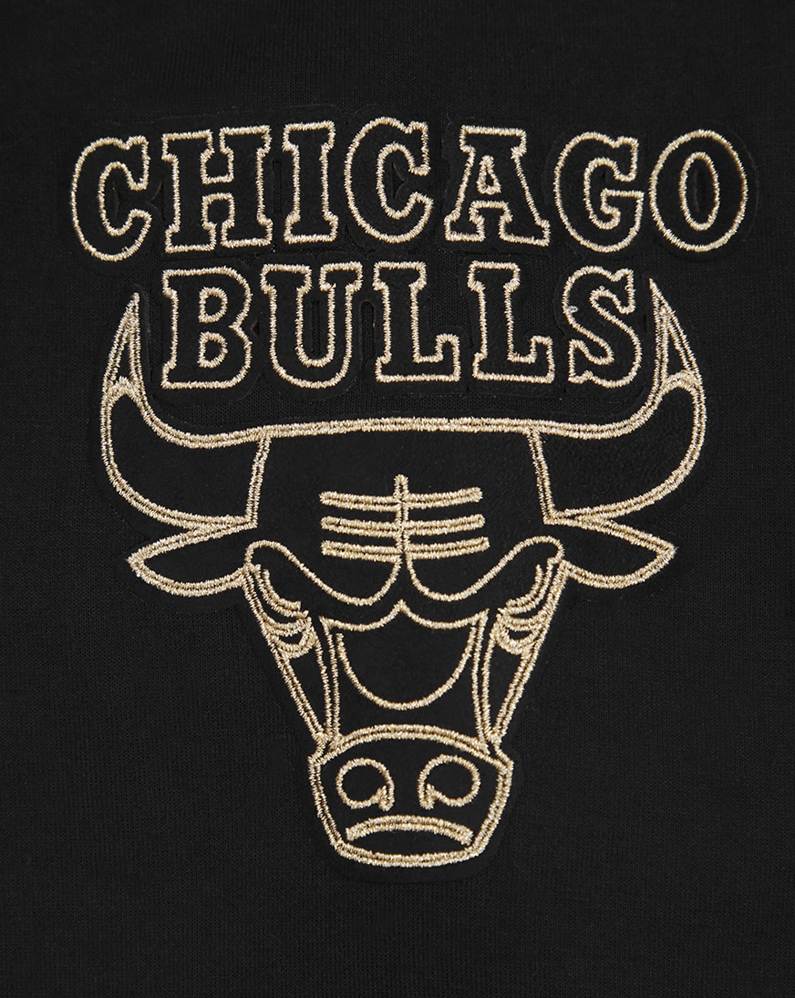 その他 Biglogo bulls 2023-24 CHICAGO BULLS CITY EDITION BRIDGE EASTPORT HOODED