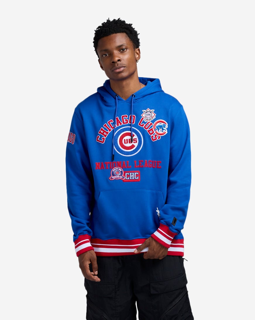 Shop PRO STANDARD Chicago Cubs Pro Area Code Hoodie