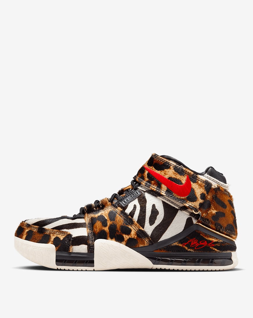 Nike Zoom Lebron 2 (2022) Performance Review - ASTERKICKS