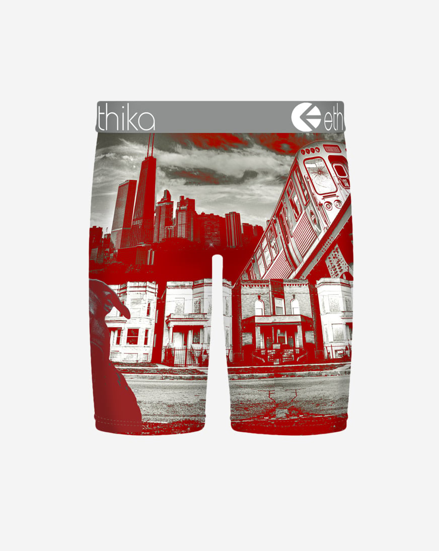 Shop Ethika Off The Porch Briefs MHOAAL2510 multi | SNIPES USA
