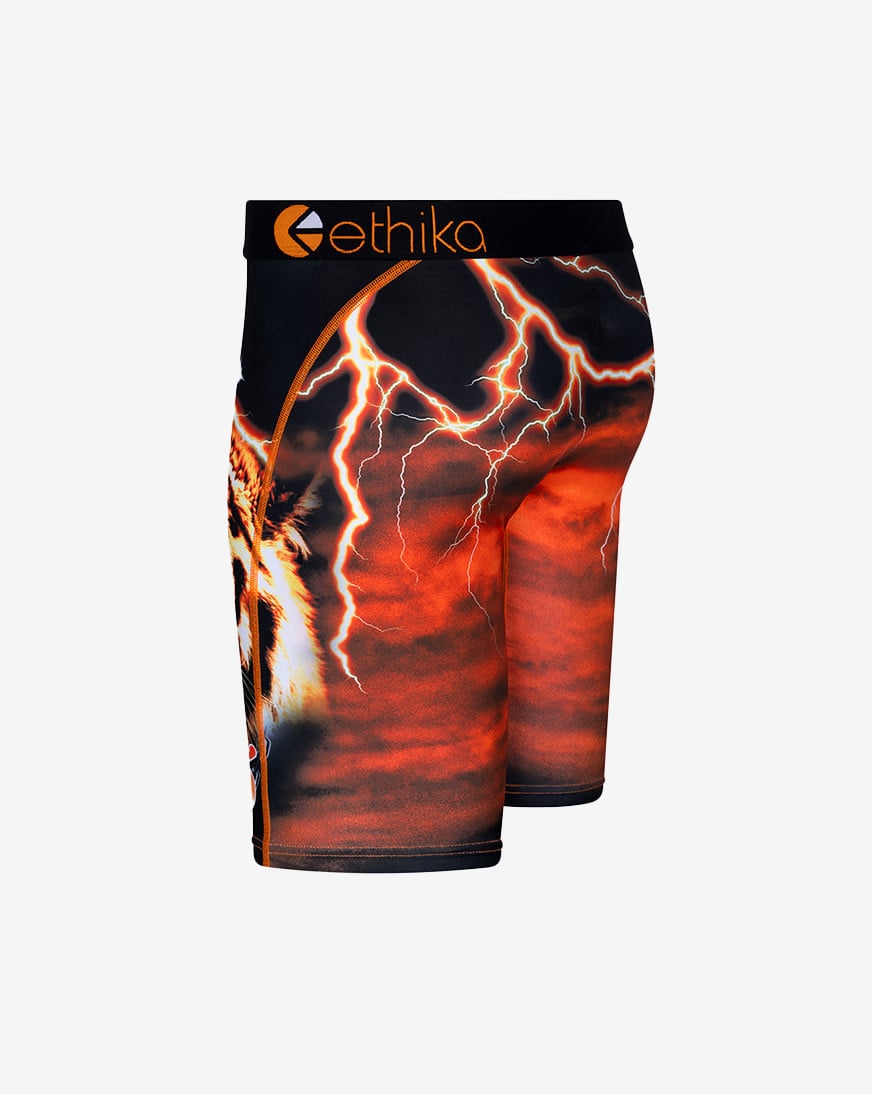 Shop Ethika Tiger Gang Briefs BLST3396 multi | SNIPES USA