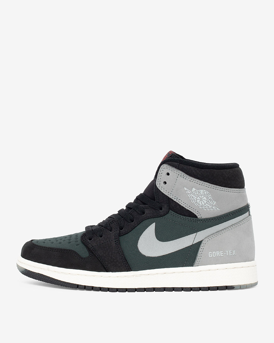 Shop Jordan Air Jordan 1 High Element GORETEX DB2889001 multi