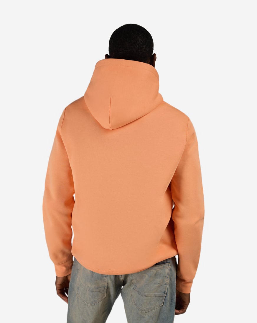 Shop Polo Ralph Lauren Fleece Summer Novelty Bear Hoodie