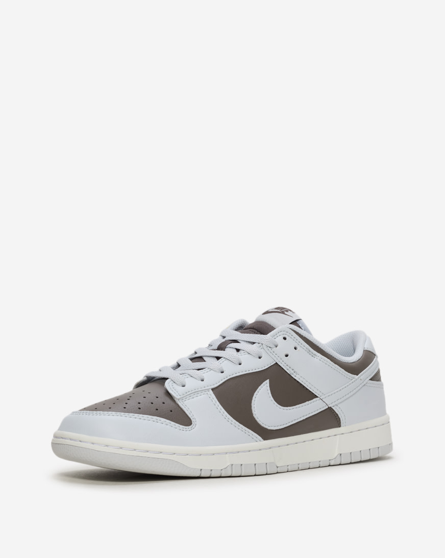 Shop Nike Dunk Low Retro HF5441-202 brown | SNIPES USA