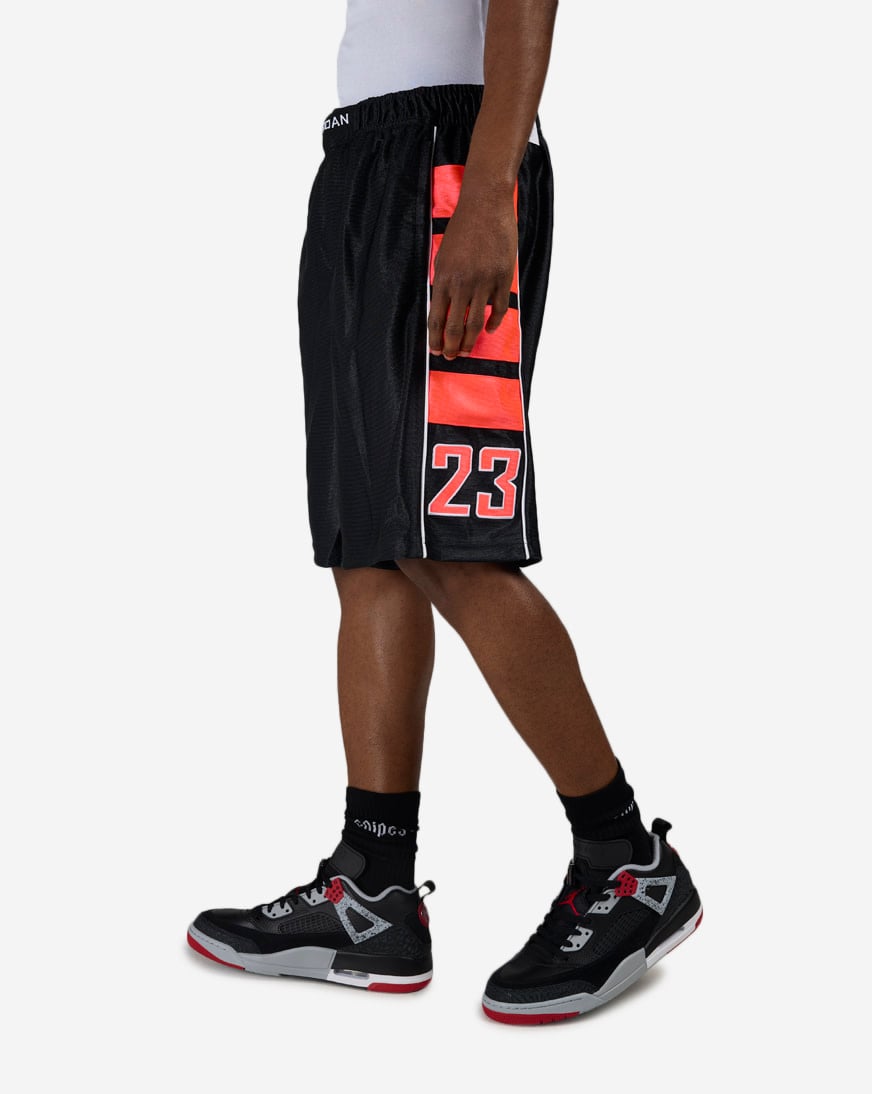 Shop Jordan Brooklyn Cat Scratch Shorts HV0560-014 black | SNIPES USA