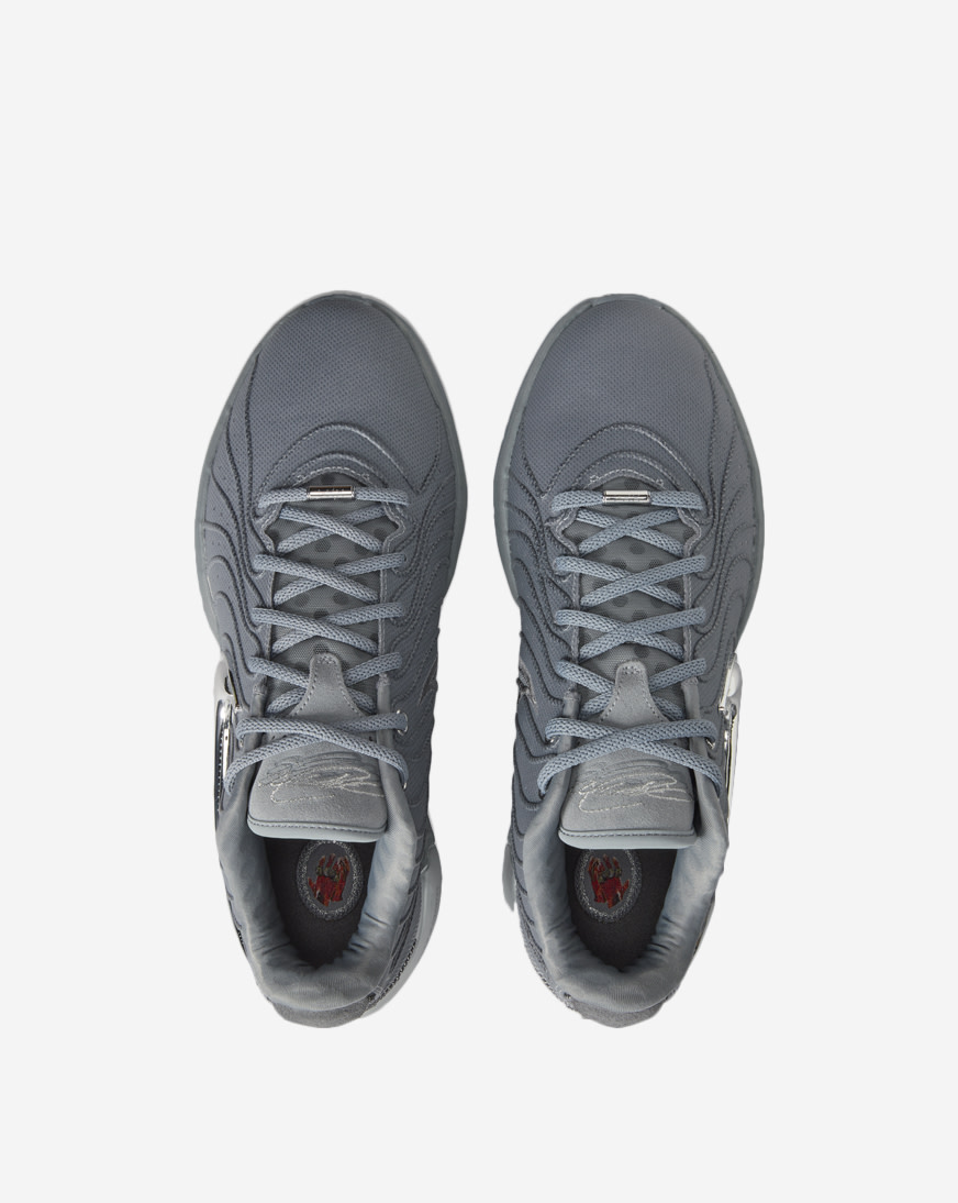 Shop Nike LeBron XXI HF5353-001 grey | SNIPES USA
