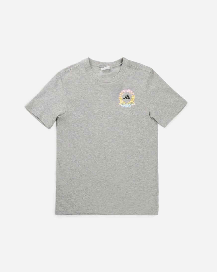 Shop adidas Kids' 90s Nostalgia City Graphic Tee AA11082-AH66 grey