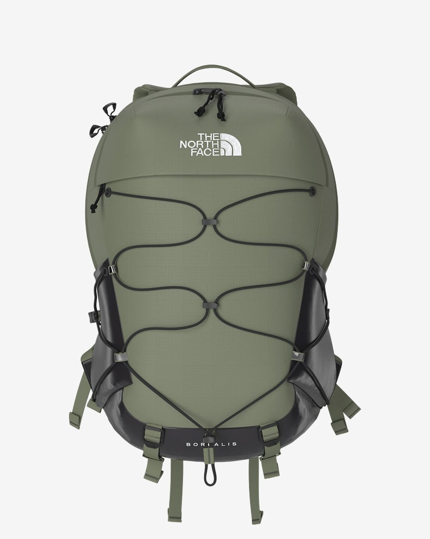 Shop The North Face Borealis Backpack NF0A52SE-D0L green | SNIPES USA
