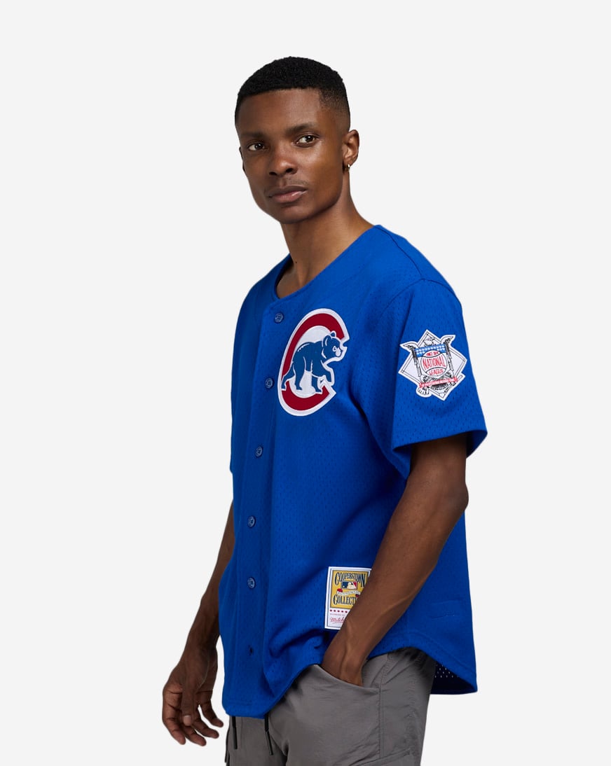 極美品 Mitchell&Ness MLB CUBS 1/4Zip Jersey Mitchell & Ness Youth Ryne Sandberg Royal Chicago Cubs
