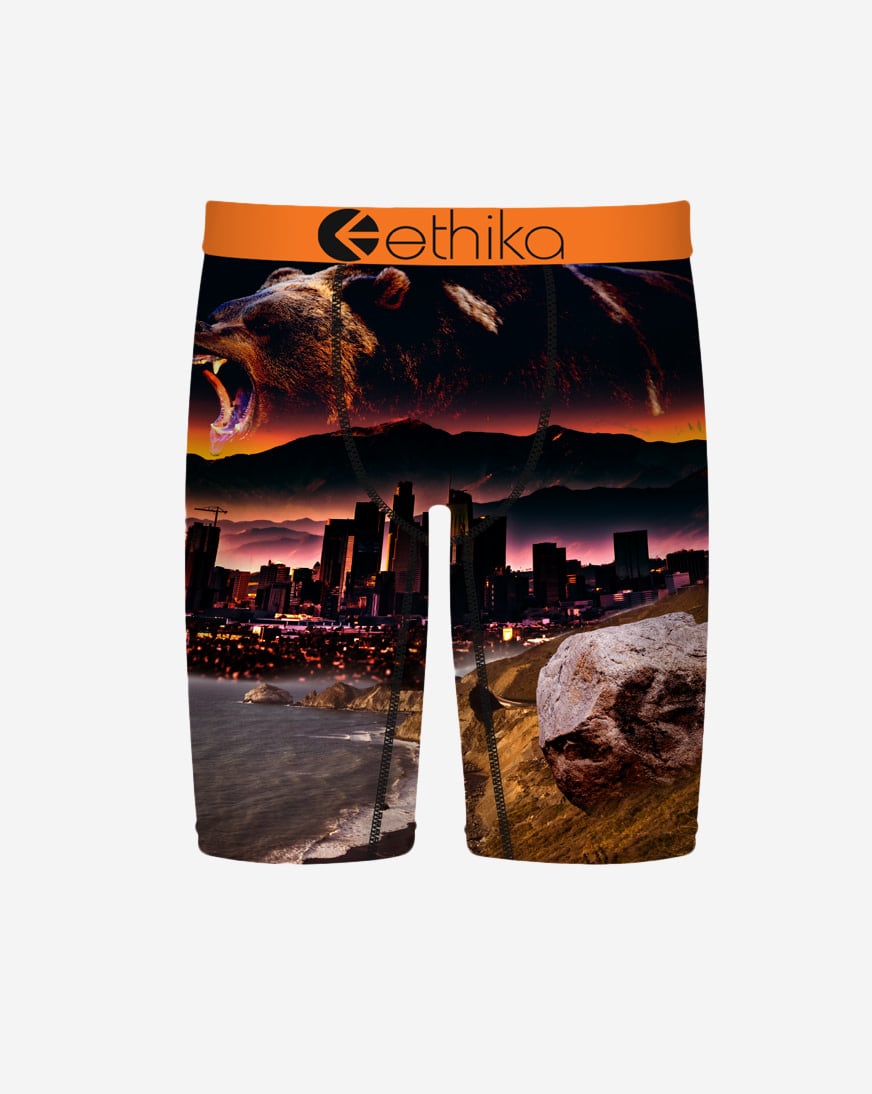 Shop Ethika Always Primal Briefs MHOAAA2610 multi | SNIPES USA