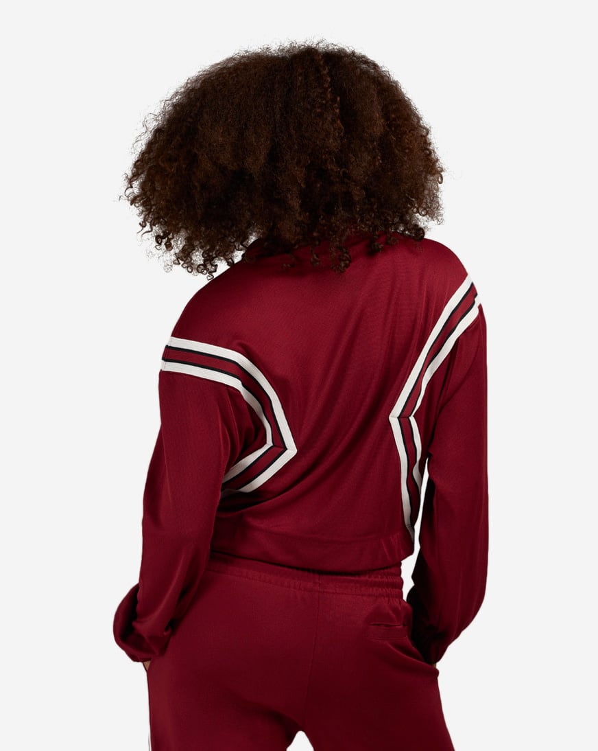 Shop Jordan Brooklyn Full-Zip Track Jacket HQ9215-677 red | SNIPES USA