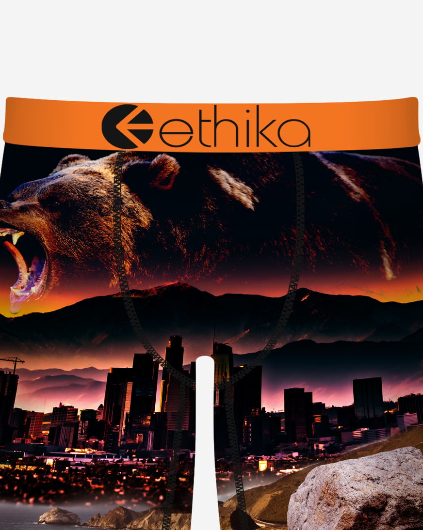 Shop Ethika Always Primal Briefs MHOAAA2610 multi | SNIPES USA