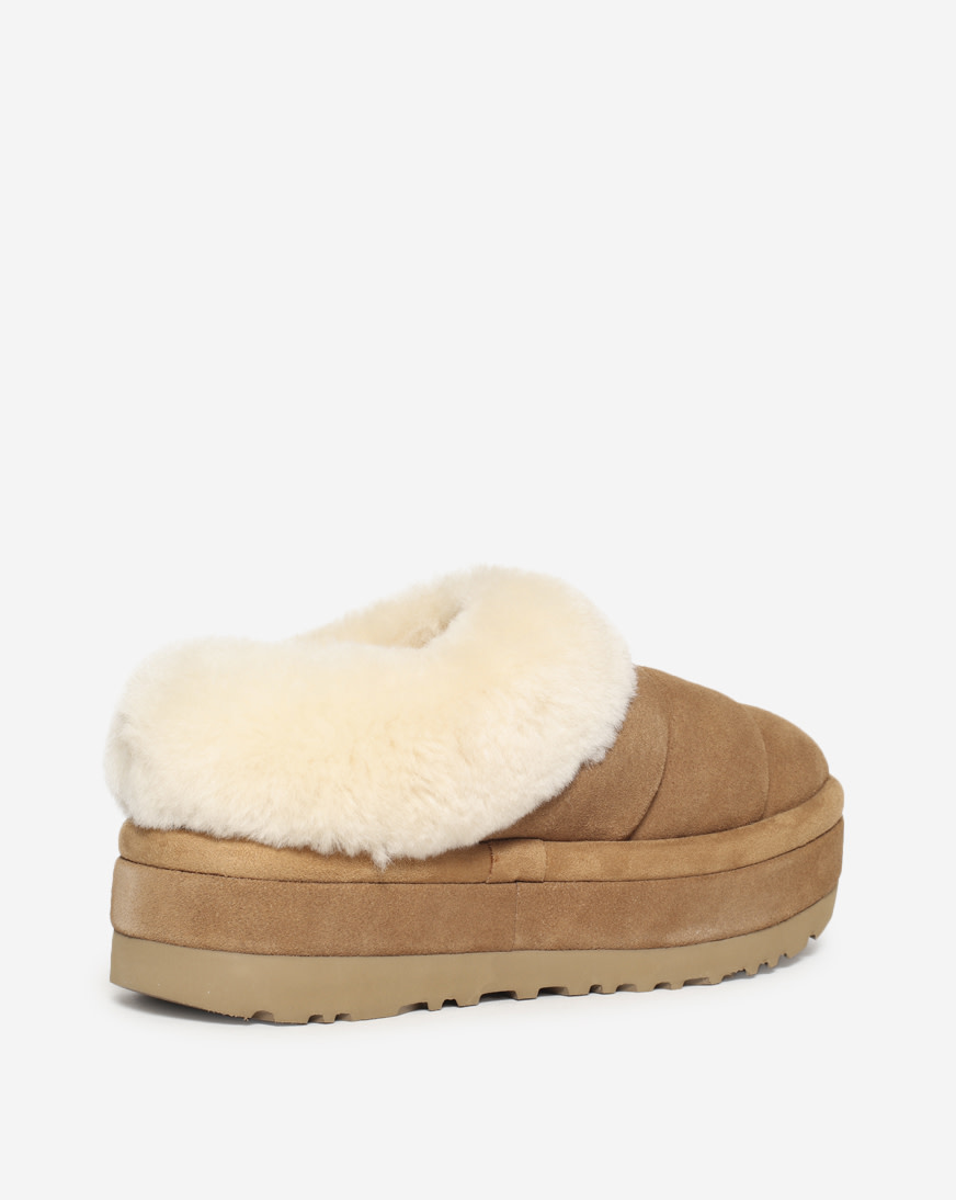 Shop UGG Tazzlita 1146390CHE brown | SNIPES USA