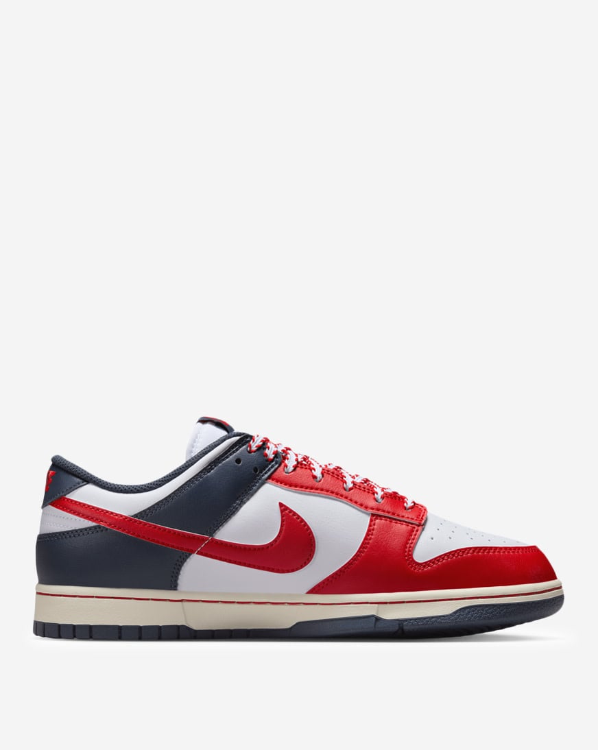 Shop Nike Dunk Low Retro IM2222-100 white | SNIPES USA