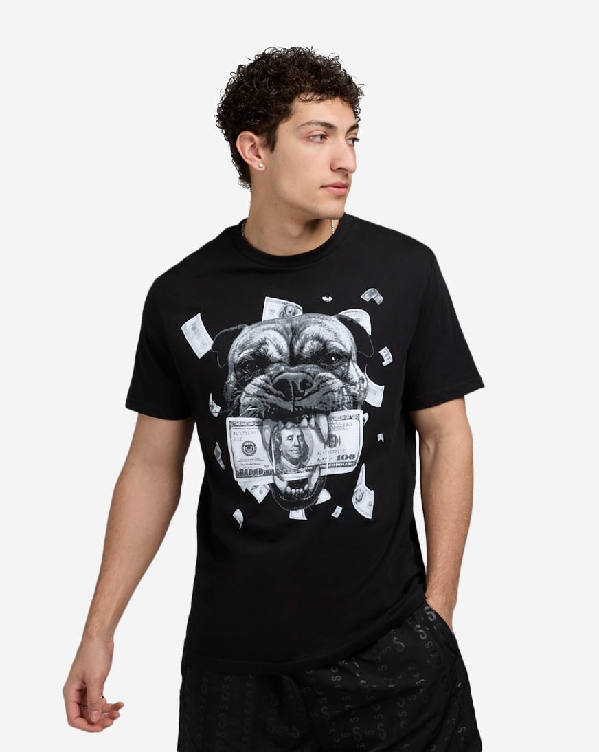 Shop Urban Classics Pitbull Tee MTUS345-US-00007 black | SNIPES USA