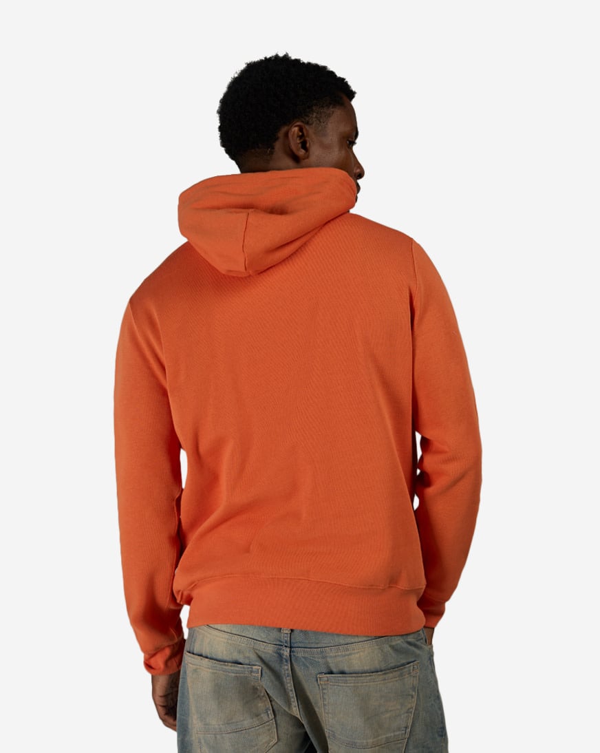 Shop Polo Ralph Lauren Fleece Novelty Litchfield Bear Hoodie