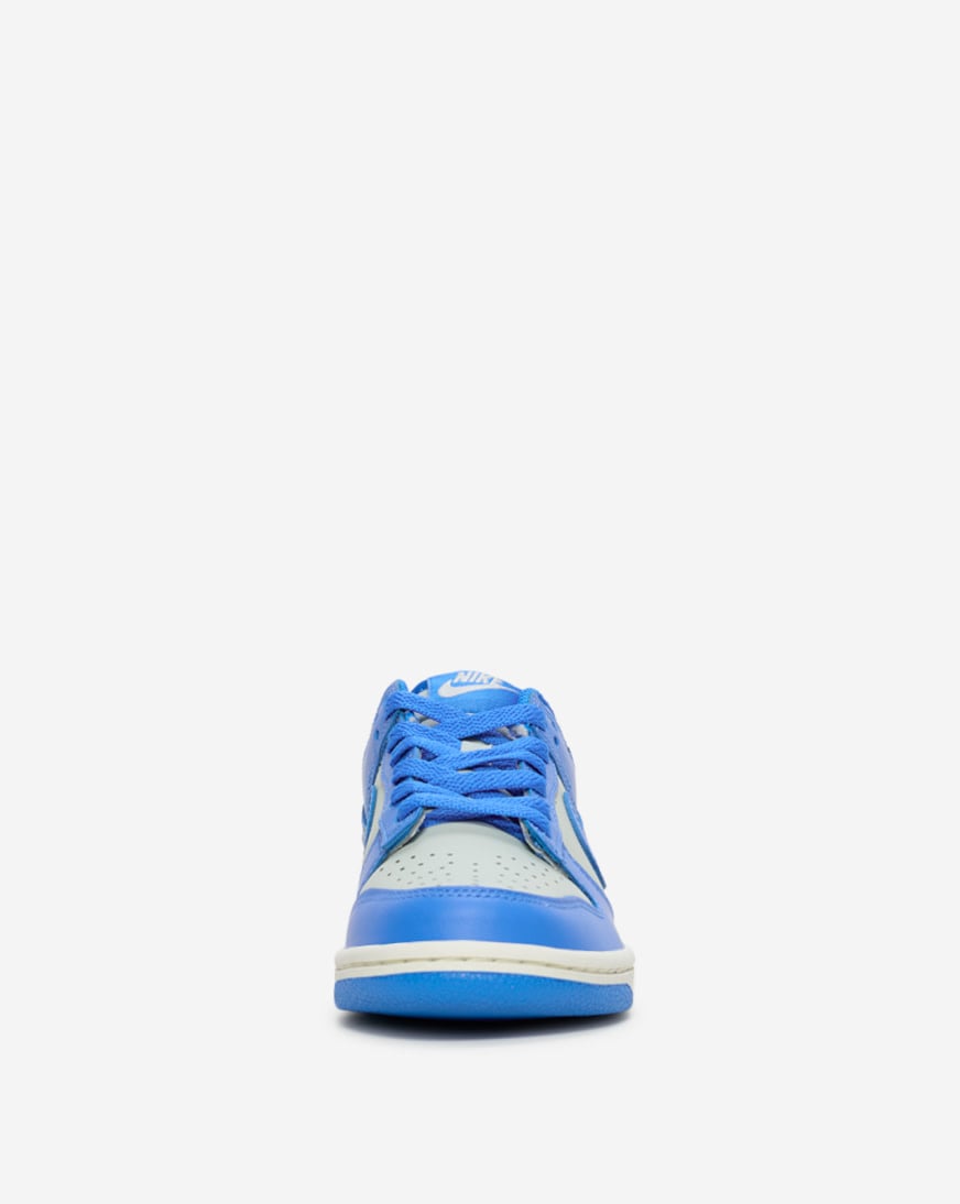 Shop Nike Big Kids' Dunk Low FB9109-004 blue | SNIPES USA