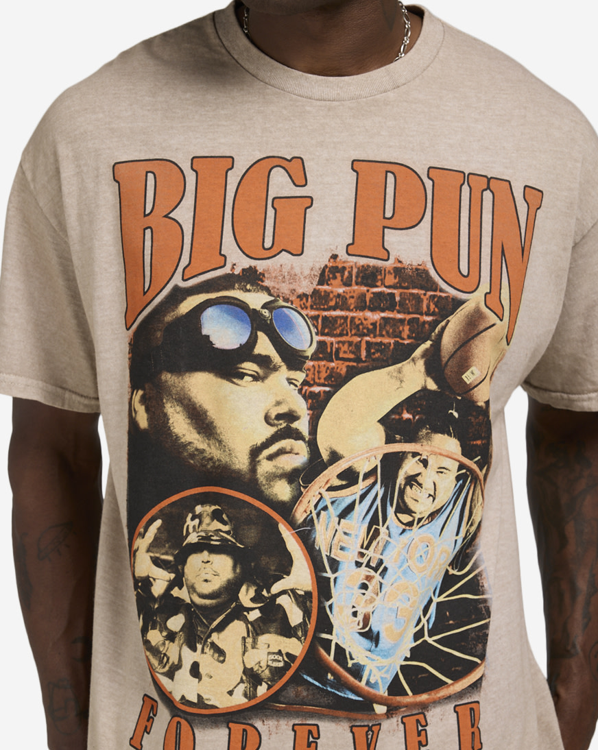邦楽 PROMO BUDDHA BRAND DON'T NIPPS DEV LARGE Buddha Brand | J-Urban Wiki | Fandom