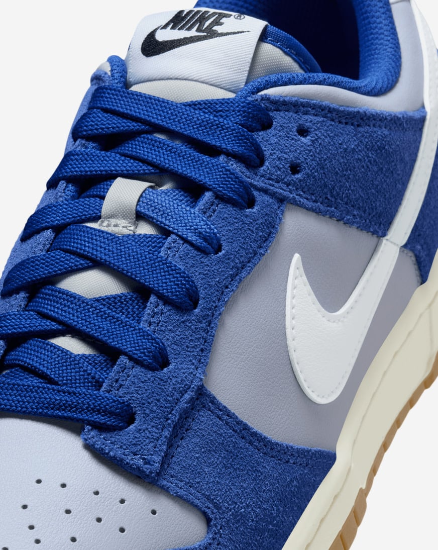 Shop Nike Dunk Low Retro SE IB6399-003 grey | SNIPES USA