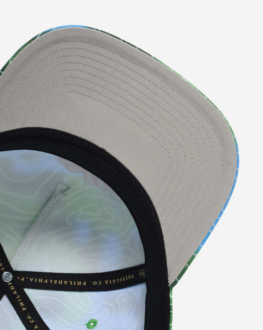 Shop Mitchell Ness New York Yankees Pro Pinch Poison Leaf Snapback