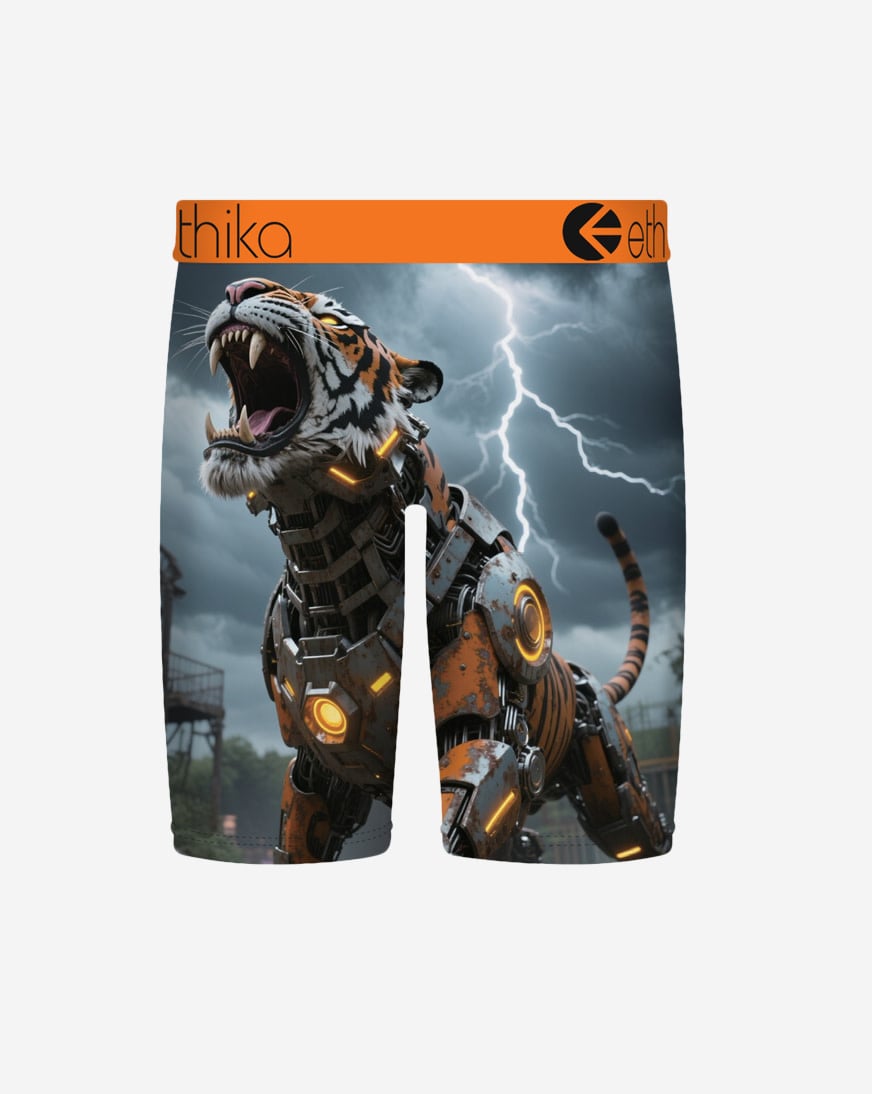 Shop Ethika Cyberfang Briefs MSPAAC2607 multi | SNIPES USA
