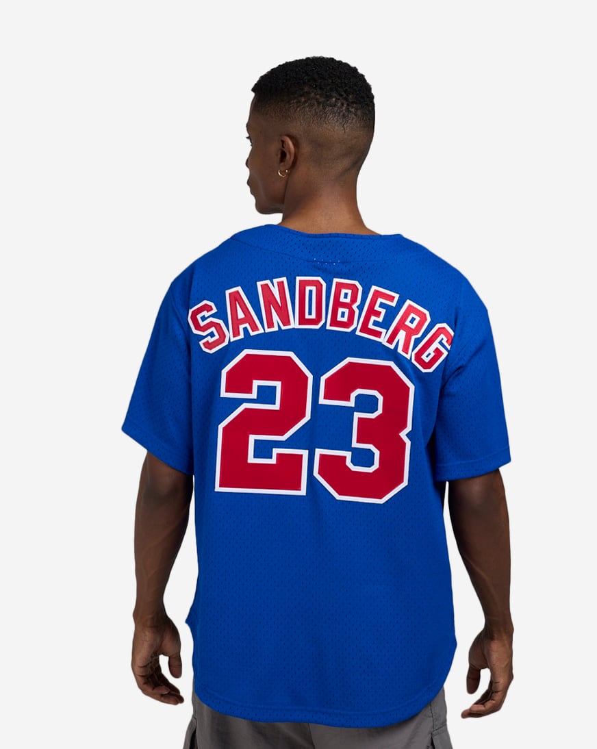 Shop Mitchell Ness Ryne Sandberg Chicago Cubs Authentic