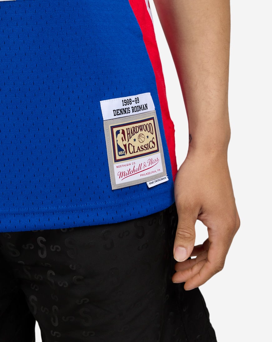 Shop Mitchell Ness Detroit Pistons Rodman Swingman Jersey
