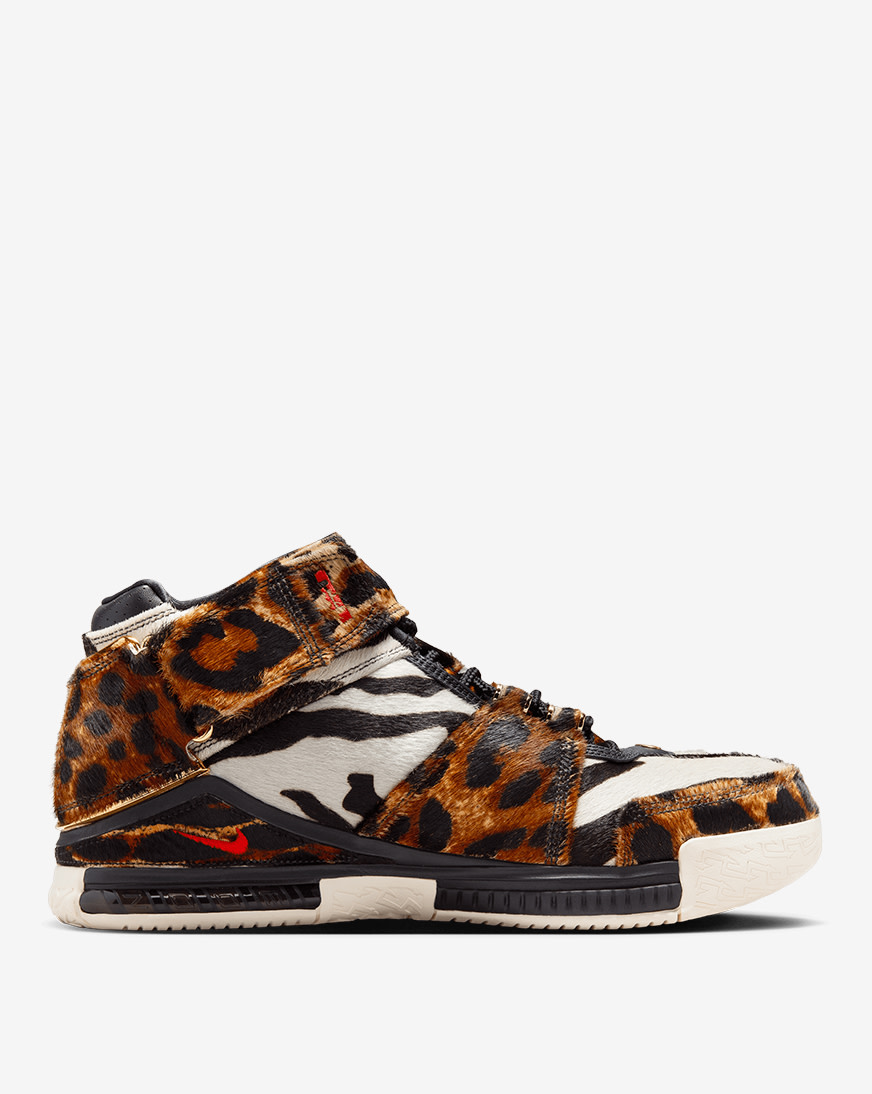 Shop Nike Zoom LeBron II LX QS DQ2439-200 multi | SNIPES USA