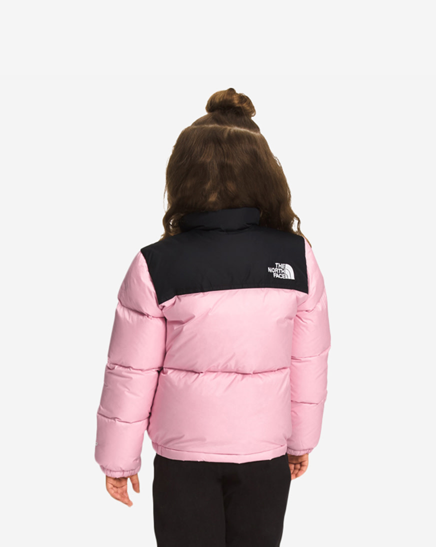 north-face_nf0a7wpc-6r0_02.jpg