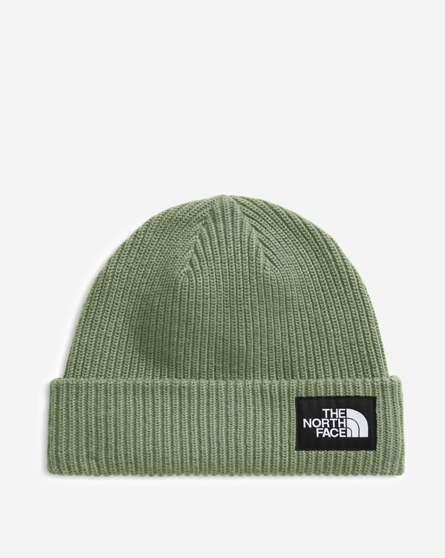 Shop The North Face Salty Lined Beanie NF0A8CGZ-BO9 green
