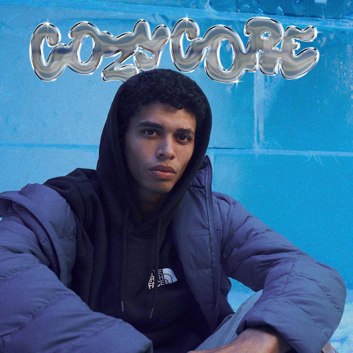Go to Cozy Core