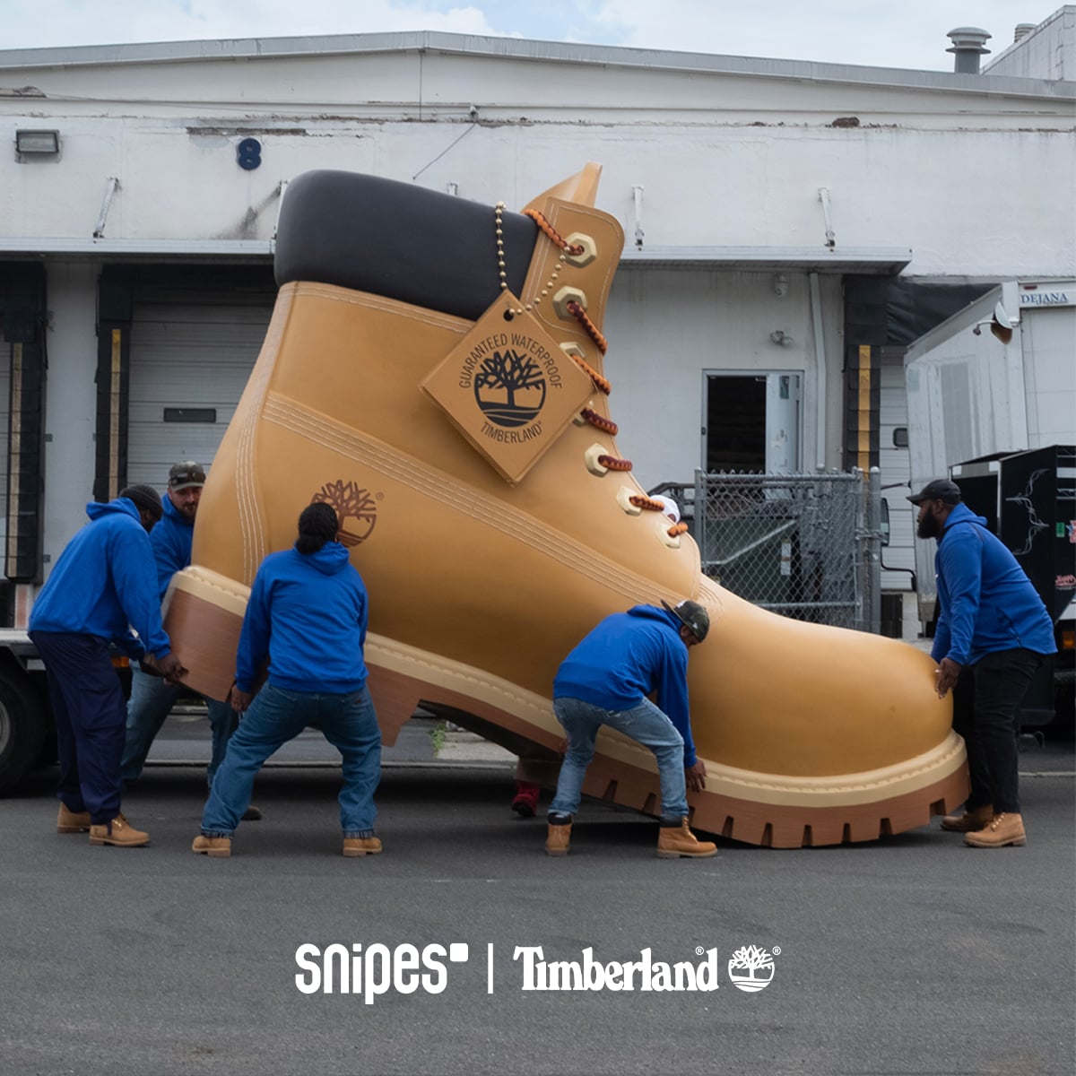 TIMBERLAND